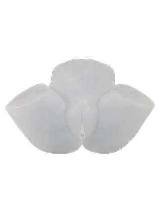 RealGirls Amanda Transparent Masturbator