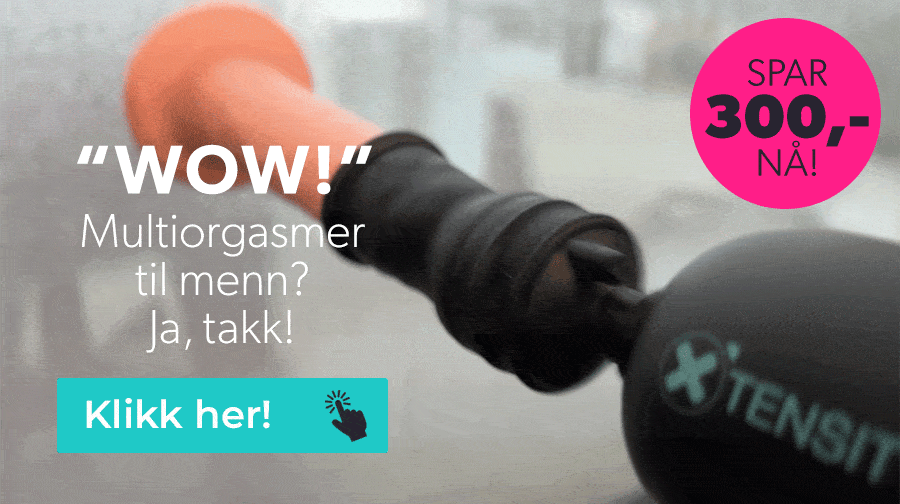 Xtensity - spar 300kr n�!