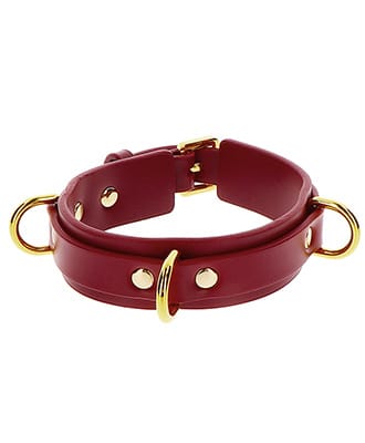 Taboom D-Ring Collar Deluxe
